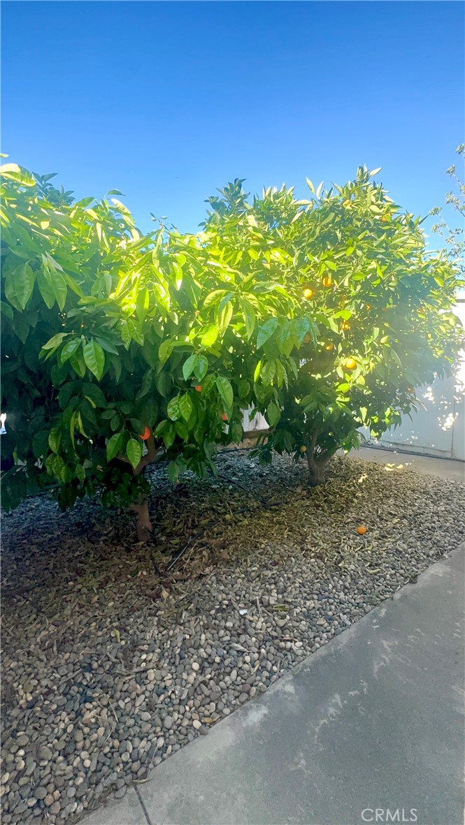 1218 Cleveland Ave #152, Madera, CA 93638